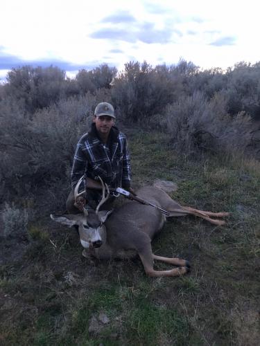 Mule deer hunter had a successful hunt harvested a nice buck mule deer