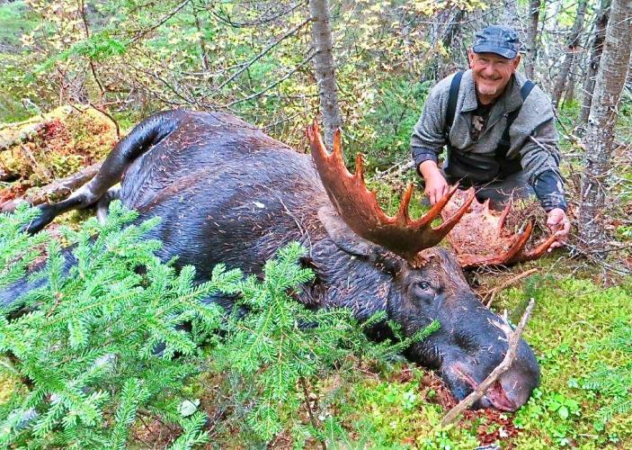 Hunter is successful on Moose a Hunt