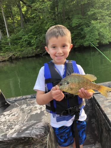 Young bluegill angler showing off his fish