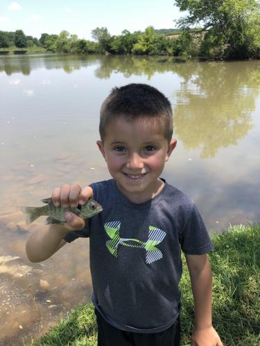 Boy angler on water edge holding tiny bluegill