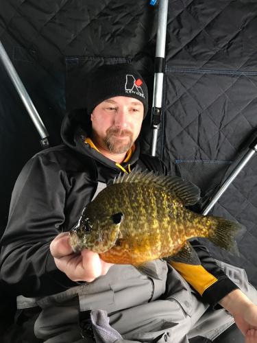 Big Gill Released To Fight Another Day