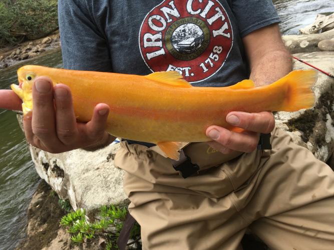 Trout Fishing Prize - angler holding his trout