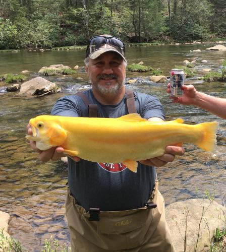 Trout angler holding up a golden trout