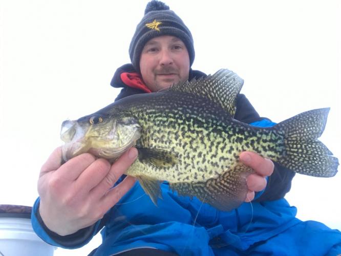 Nice CPR'd Black Crappie From Northern Wisconsin