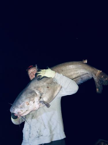 Angler with a Big Blue Catfish