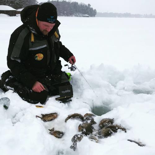 Catching a Limit of Blue Gills