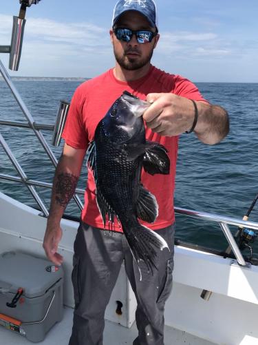 Saltwater angler holding a Black Sea Bass