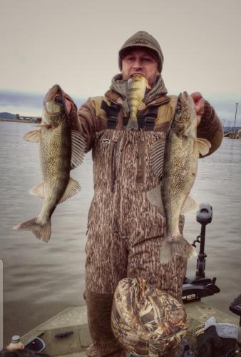 Walleye angler holding two fish with hands and one fish in his mouth