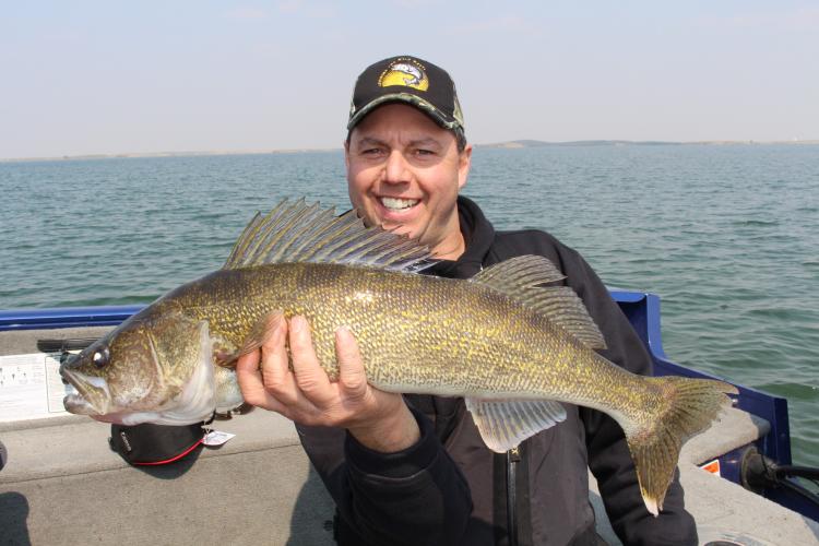 Wes David holding a walleye fish