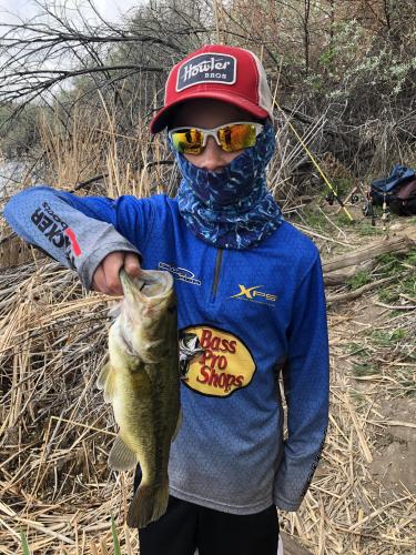 Boy angler holding a mid-size bass