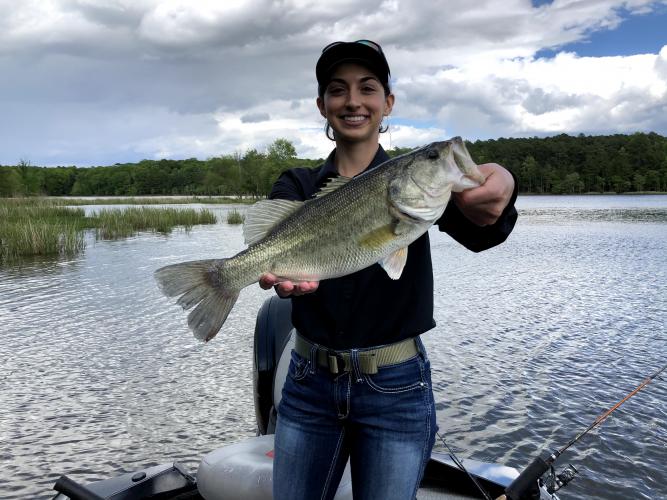 18" Largemouth