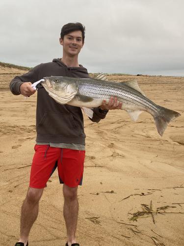 Saltwater Striper Bass