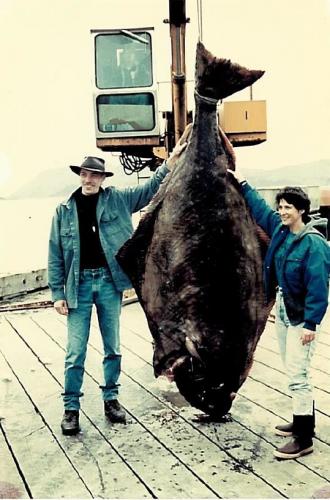Very large flounder held up by a crane