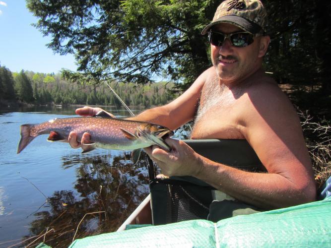 angler holding nice trout