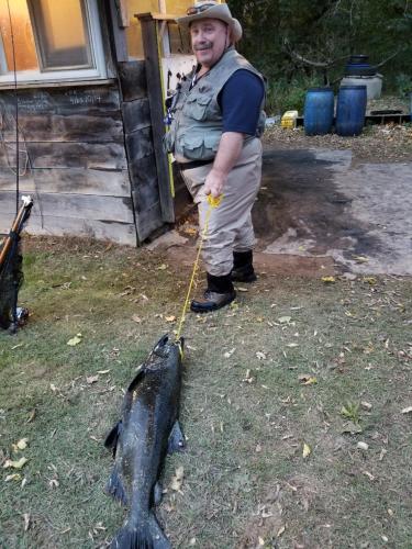 angler dragging large salmon