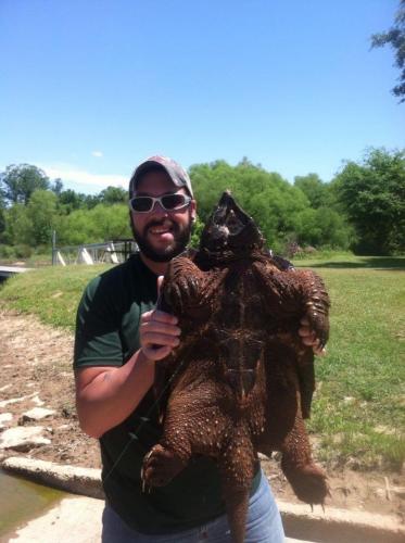 Snapping Turtle