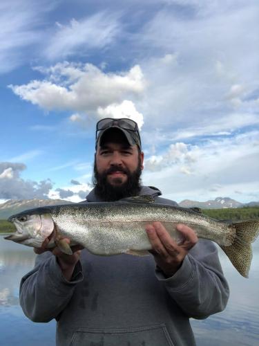 Sockeye salmon