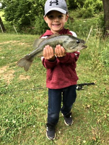 young boy with fish