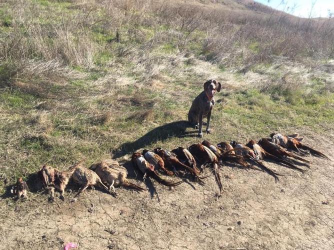 Braggin' Board Photo: Good Day Hunting