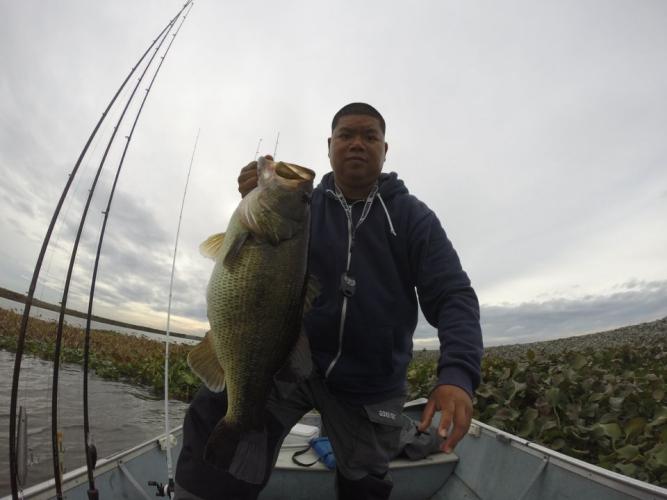 Braggin' Board Photo: Bass Fishing 2014
