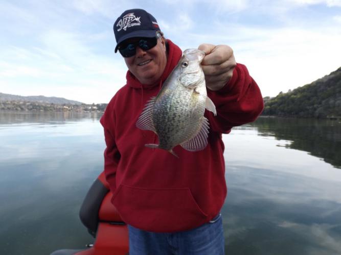 Braggin' Board Photo: Nice Crappie