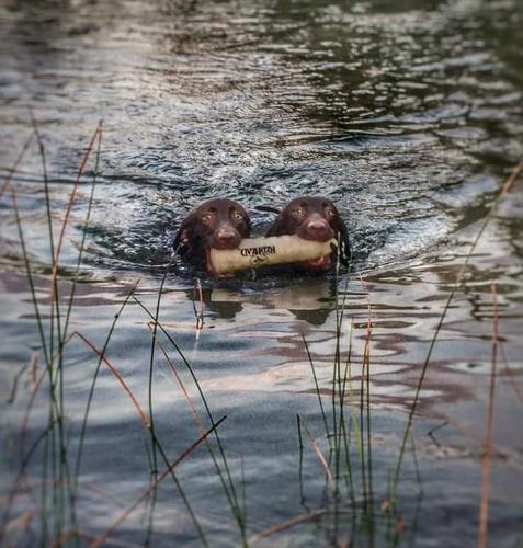 Braggin' Board Photo: Reaux and Maverick