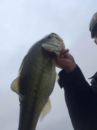 Braggin' Board Photo: Lake Tawakoni 4 lb Bass