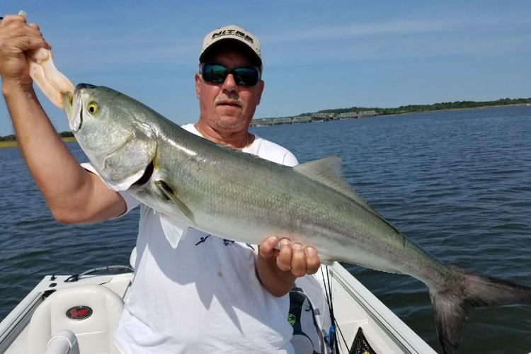 Braggin' Board Photo: Bluefish