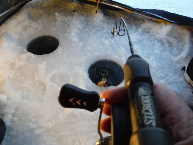 Braggin' Board Photo: Ice Perspective!