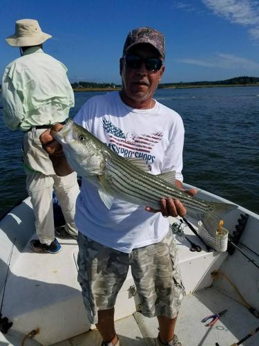 Braggin' Board Photo: Nice Striper Bass