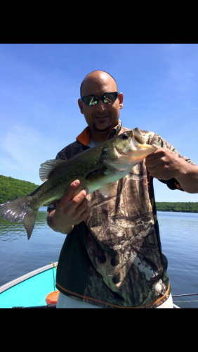 Braggin' Board Photo: Nice Bass