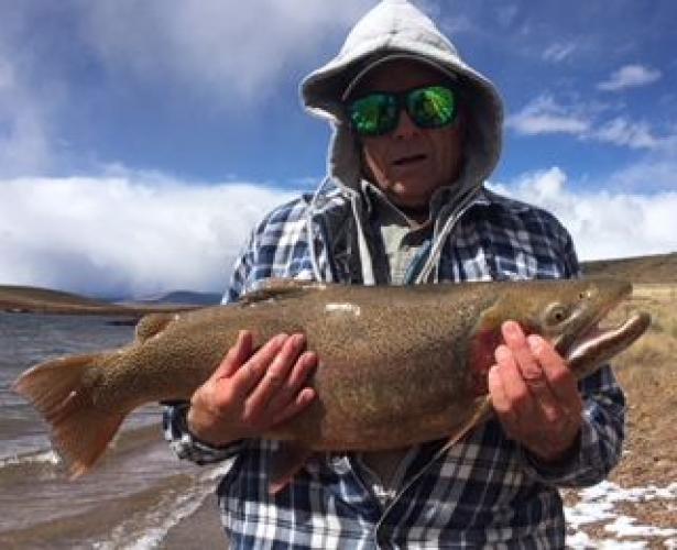 Braggin' Board Photo: Hawg - Trout!