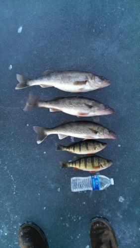 Braggin' Board Photo: Ice Fishing