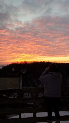 Braggin' Board Photo: Eagle watching