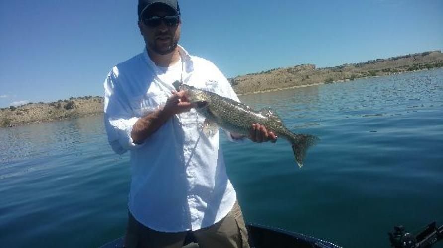 Braggin' Board Photo: Walleye Pueblo