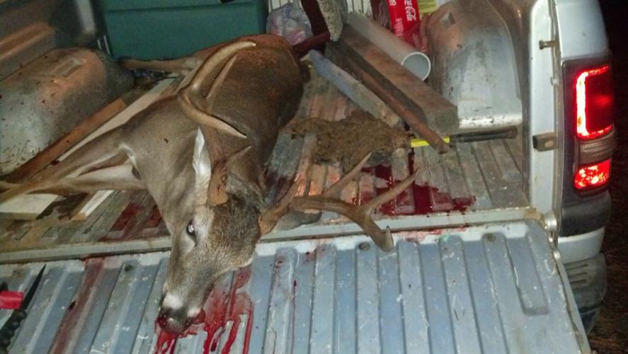 Braggin' Board Photo: Nice Buck