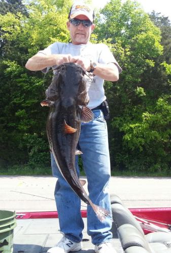 Braggin' Board Photo: catfish