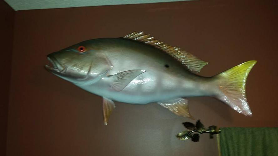 Braggin' Board Photo: Offshore Fishing - Snapper