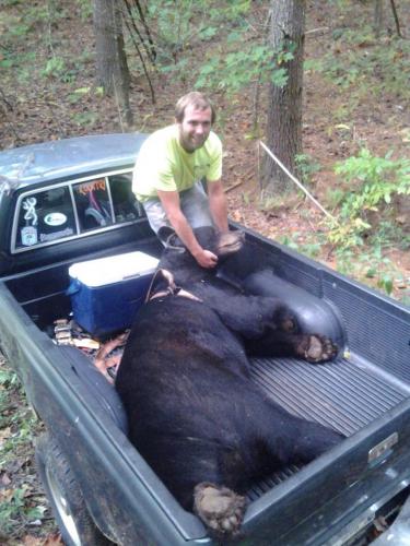 Braggin' Board Photo: Black Bear