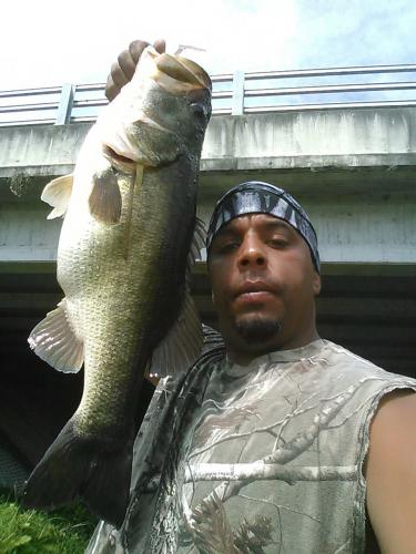 Braggin' Board Photo: Bass Fishing