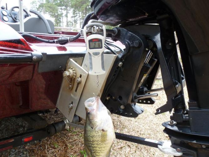 Braggin' Board Photo: Nice Crappie