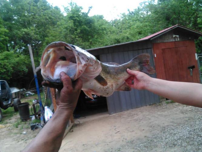 Braggin' Board Photo: Open wide