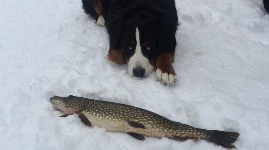 Braggin' Board Photo: Ice Fishing in Old Forge N.Y.