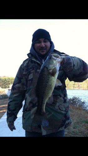 Braggin' Board Photo: Late Novermber Bass