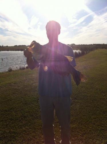 Braggin' Board Photo: Bass catch of the day