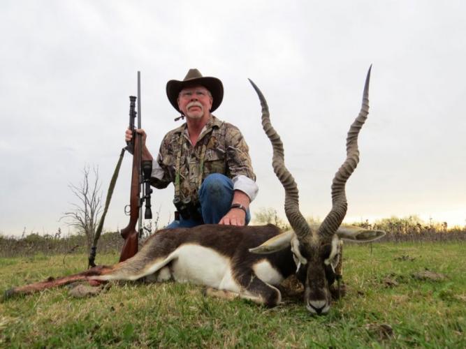 Braggin' Board Photo: Blackbuck (Antilope)