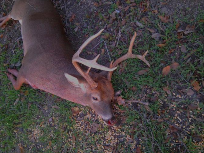 Braggin' Board Photo: Good day hunting deer