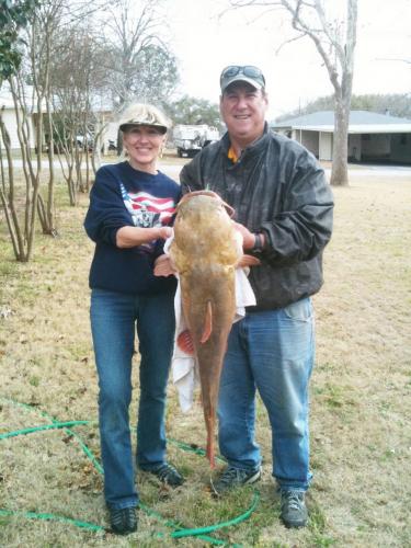 Braggin' Board Photo: Carolyn s Yellow Cat at Bend Tx
