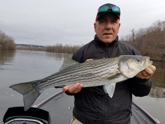 Braggin' Board Photo: Striper Fishing