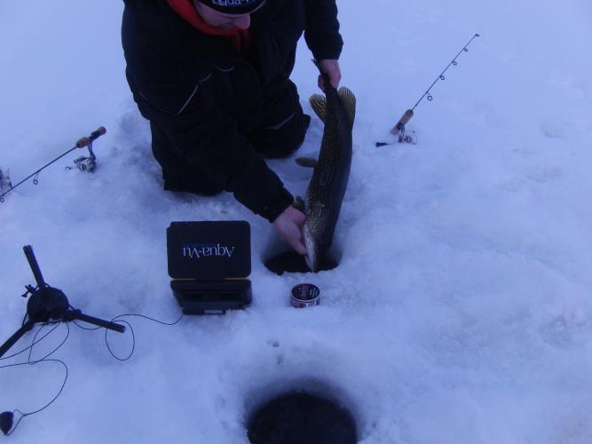 Ice Fishing Tips and Gears (Aqua Vu Micro Revolution 5 Pro) 